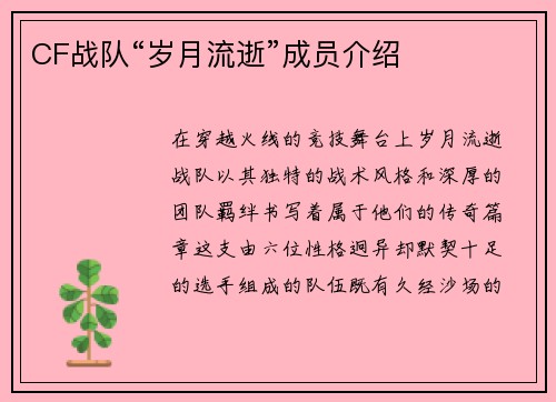 CF战队“岁月流逝”成员介绍