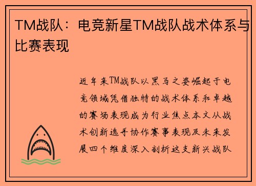TM战队：电竞新星TM战队战术体系与比赛表现