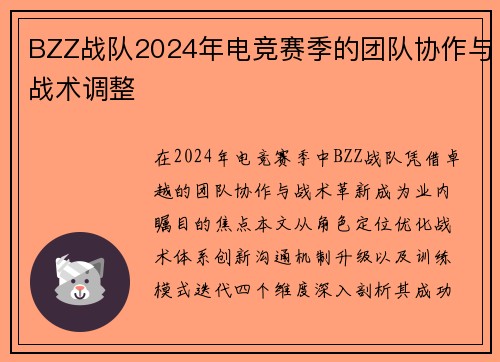 BZZ战队2024年电竞赛季的团队协作与战术调整