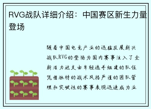 RVG战队详细介绍：中国赛区新生力量登场